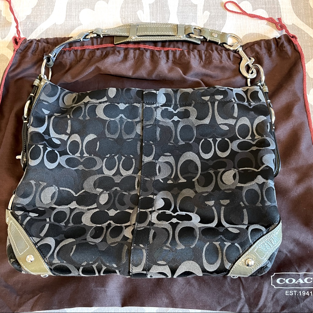 Coach Carly Handbag